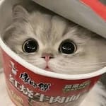 Michelle Paredes avatar